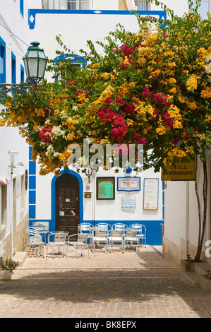 Vicolo di Albufeira Algarve Portogallo, Europa Foto Stock