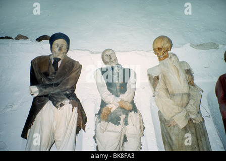 Le mummie, Catacombe dei Cappuccini, la Cripta dei Cappuccini a Palermo, Sicilia, Italia, Europa Foto Stock