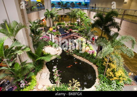 Orchid Garden in Aeroporto Changi di Singapore, Indonesia, sud-est asiatico Foto Stock