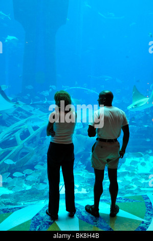 Un enorme acquario di acqua salata dell'Hotel Atlantis Palm Jumeirah, Dubai, Emirati Arabi Uniti, in Arabia, in Medio Oriente, Orient Foto Stock