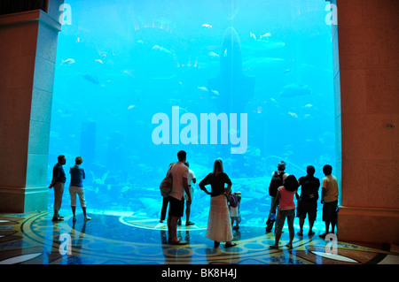 Un enorme acquario di acqua salata dell'Hotel Atlantis Palm Jumeirah, Dubai, Emirati Arabi Uniti, in Arabia, in Medio Oriente, Orient Foto Stock