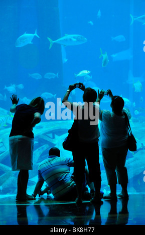 Un enorme acquario di acqua salata dell'Hotel Atlantis Palm Jumeirah, Dubai, Emirati Arabi Uniti, in Arabia, in Medio Oriente, Orient Foto Stock