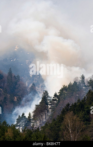 Incendio di foresta nella gamma di Karwendel vicino a Innsbruck in Tirolo, Austria Foto Stock