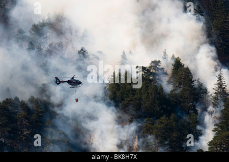 Incendio di foresta nella gamma di Karwendel vicino a Innsbruck in Tirolo, Austria Foto Stock
