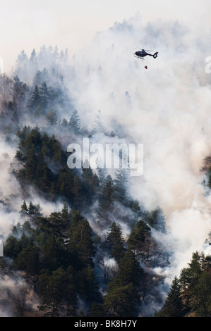 Incendio di foresta nella gamma di Karwendel vicino a Innsbruck in Tirolo, Austria Foto Stock