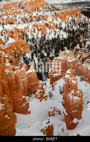 Vista lungo il Navajo loop trail a Bryce Canyon National Park nello Utah. Foto Stock