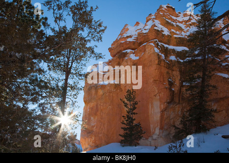 La bellissima Queens Garden Trail nel Parco Nazionale di Bryce Canyon, Utah si snoda sopra, fra e sotto migliaia di hoodoos. Foto Stock