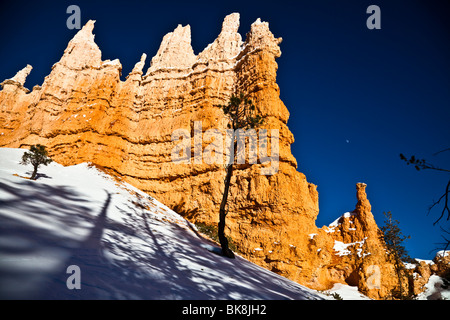 La bellissima Queens Garden Trail nel Parco Nazionale di Bryce Canyon, Utah si snoda sopra, fra e sotto migliaia di hoodoos. Foto Stock