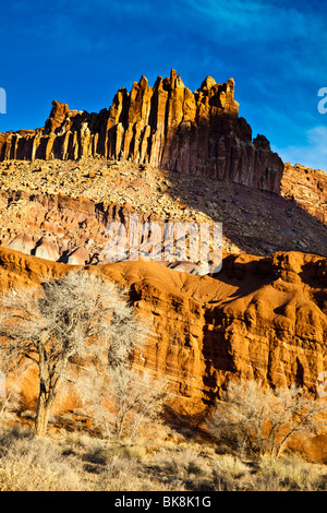 Il "Castello" formazione rocciosa del Parco nazionale di Capitol Reef nel sud dello Utah si illumina di arancione-giallo nei primi sunrise luce. Foto Stock