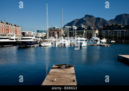 Vista sul bacino portuale di Alfred e Victoria Waterfront di Città del Capo in Sud Africa Foto Stock