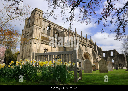 Malmesbury Abbey di primavera Foto Stock