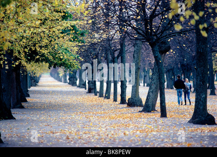 Coppia giovane a piedi lungo un viale alberato percorso in un parco della città durante la stagione autunnale, Stoccolma, Svezia Foto Stock
