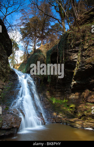 Inghilterra, Northumberland, Hareshaw Linn. Hareshaw Linn è una spettacolare cascata che si trova in una ripida gola unilaterale Foto Stock