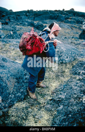 Nativo di uomo Inuit che trasportano un auto contenuta nello zaino di appena ucciso caribou, Cumberland Sound, Isola Baffin, Nunavut, Canada Foto Stock