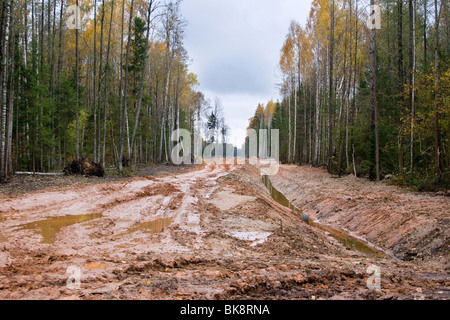 Strada sporca in Lettonia. Vero lettone strada attraverso la foresta di autunno, è di circa 3 km nei pressi di Via Baltica road Foto Stock