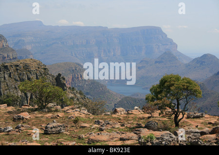 Sud Africa : sulla strada per le Cascate del Fiume Blyde Canyon Foto Stock