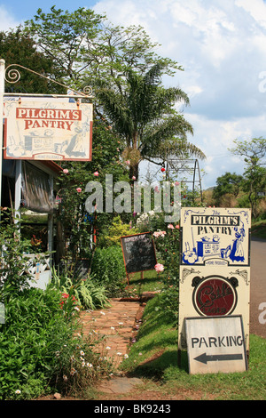 Sud Africa : Pellegrino di riposo Foto Stock