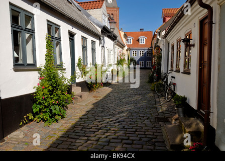 Strada acciottolata nella storica città di Aalborg, Ålborg, Nordjylland, Danimarca, Scandinavia, Europa Foto Stock