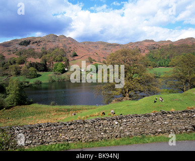 Loughrigg Tarn - un pittoresco piccolo lago ai piedi di Loughrigg cadde nei pressi del villaggio di Skelwith Bridge Foto Stock