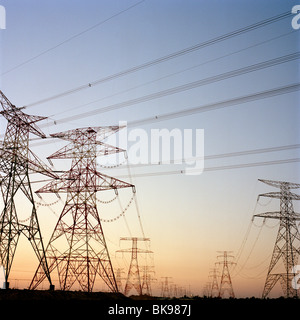 Elettricità tralicci vicino a Dubai negli Emirati arabi uniti Foto Stock