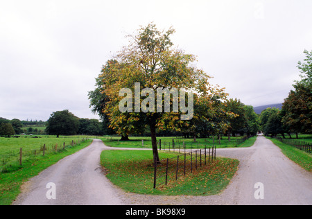 Parco Nazionale di Killarney nella Contea di Kerry Irlanda Viaggi turismo foto foto paesaggio contee irlandesi repubblica oceano atlantico eas Foto Stock