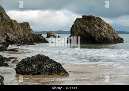 Barafundle Bay in Pembrokeshire West Wales Foto Stock