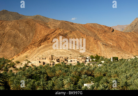 Piantagione di data palme vicino al villaggio di montagna di Birkat Al Mawz, Sultanato di Oman Foto Stock