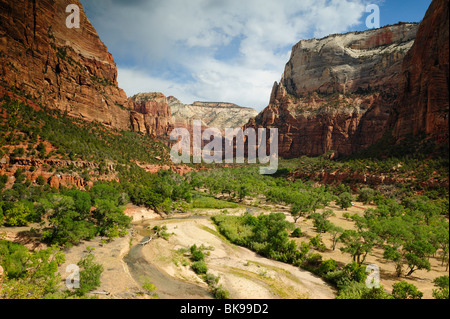 Vista panoramica sulla Emerald Pools Sito nel Parco Nazionale di Zion, Utah, Stati Uniti d'America Foto Stock