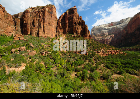 Vista panoramica sulla Emerald Pools Sito nel Parco Nazionale di Zion, Utah, Stati Uniti d'America Foto Stock