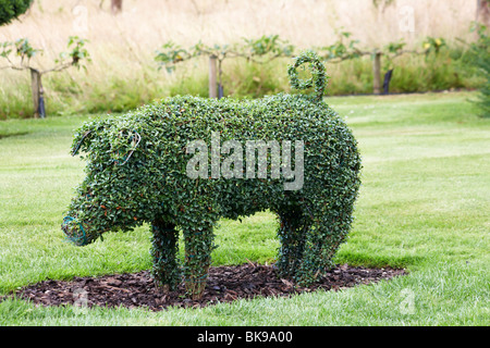 Topiaria da - boccola di albero tagliato nella forma di un suino Foto Stock