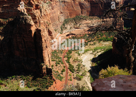 Vista panoramica sul Parco Nazionale di Zion da angeli sito di atterraggio, Utah, Stati Uniti d'America Foto Stock