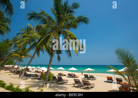 Palm Beach, la spiaggia di Chaweng, Ko Samui, Tailandia, Asia Foto Stock