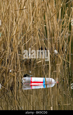 Scartata la bottiglia di plastica floating tra le canne in una riserva naturale Foto Stock