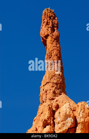 Vista panoramica sul Bryce Canyon da un peek boo loop, Utah, Stati Uniti d'America Foto Stock