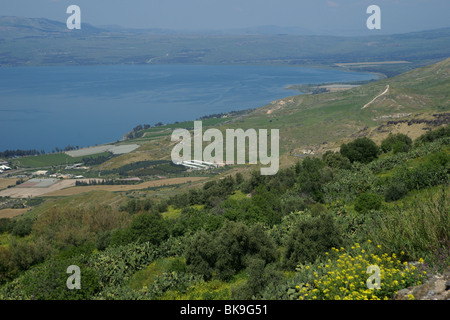 Mare di Galilea Foto Stock