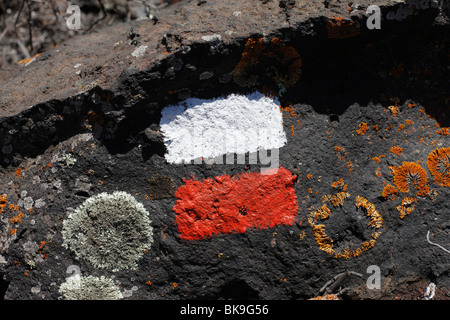 Rosso-bianco sentiero escursionistico marchi e licheni sulle rocce del vulcano, la Palma Isole Canarie Spagna, Europa Foto Stock