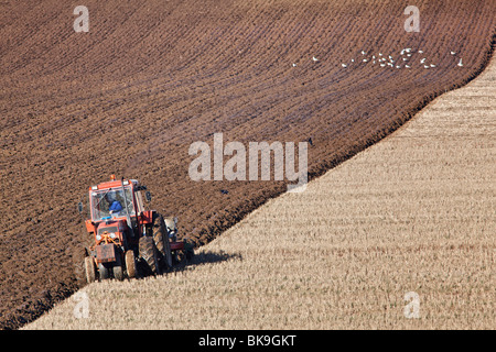 Arando un campo stuble dal fiume Tay in Fife, Scozia Foto Stock