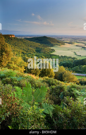 Sutton Bank guardando verso la cicatrice Roulston, cappa Hill e al di sopra della valle di York, North York Moors, nello Yorkshire, Regno Unito Foto Stock