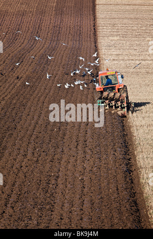 Arando un campo stuble dal fiume Tay in Fife, Scozia Foto Stock