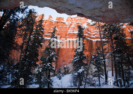 La bellissima Queens Garden Trail nel Parco Nazionale di Bryce Canyon, Utah si snoda sopra, fra e sotto migliaia di hoodoos. Foto Stock