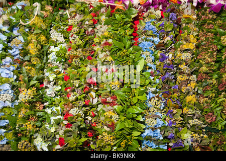 Floral leis e haku pronti per la vendita da parte di fornitori a Merrie Monarch Festival in Hilo, Hawaii. Foto Stock