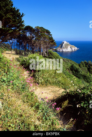 Vista della Thatcher Rock fuori del South Devon Coast vicino al resort di Torquay in Torbay Foto Stock