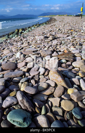 Rossbeigh spiaggia vicino Glenbeigh Contea di Kerry, Irlanda, nel settembre 2009 Foto Stock