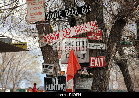 Route 66 in Arizona. Indicazioni su un albero a cappuccio di neve drive-in Foto Stock