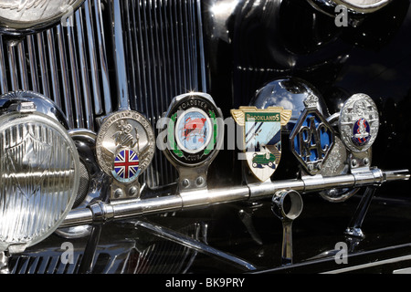 Badge a fronte di una vecchia auto Triumph Foto Stock