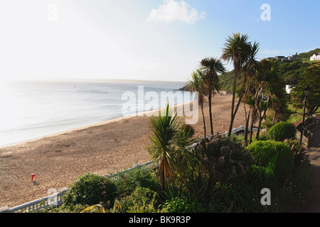 Vista sulla Spiaggia di Porthminster, St. Ives, Cornwall, England, Regno Unito Foto Stock