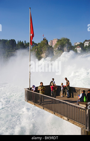 Cascate del Reno (Europa più grande cascata), Sciaffusa, Cantone di Sciaffusa, Svizzera Foto Stock