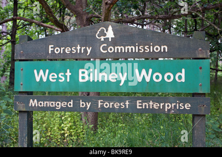 West Bilney legno, West Norfolk, Regno Unito. Foto Stock