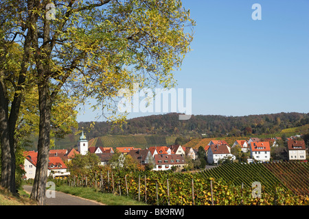 Rotenberg azienda vitivinicola, Unterturkheim, Stuttgarten, Baden-Württemberg, Germania Foto Stock