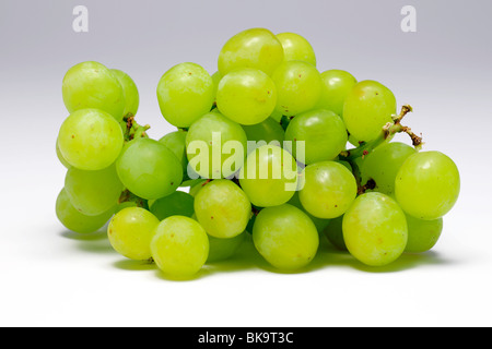 Le uve bianche Foto Stock